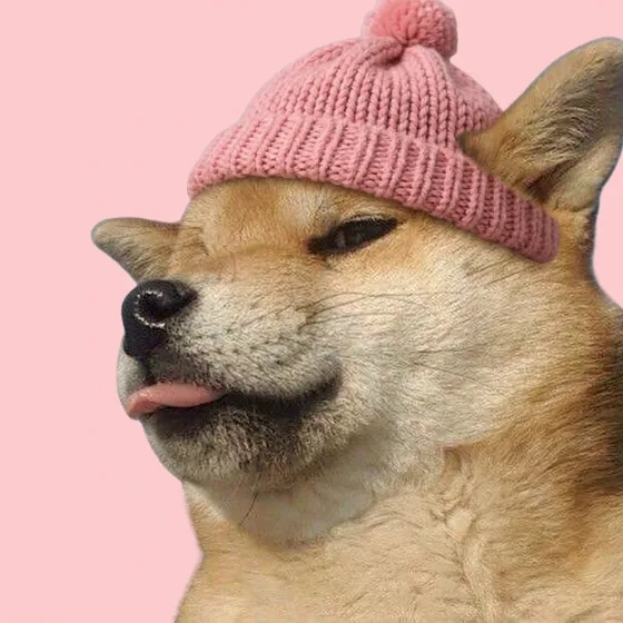 Papi wearing the pink knit beanie.